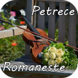 Icon of program: Muzica de Petrecere 2019