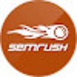 Open in Semrush Traffic Analytics