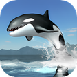 Ikon program: Orca Survival Simulator