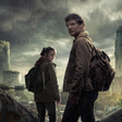 Icoon van programma: The Last of Us Live Wallp…