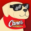 Ikon program: Raising Canes Arcade