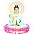أيقونة البرنامج: Phật Bà Quan Âm Độ Mạng