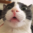 Icon of program: i dont know