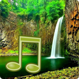 Jungle Sounds - Nature Sounds icon