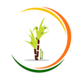 Ganna Parchi Calendar : पर्ची कलेंडर 2021