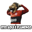 Figurinhas Engraçadas Flamengo