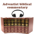 程序图标：Seventh Day Adventist Bib…