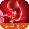 Icon of program: دليل المرأة الحامل - صحة …