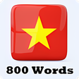 ไอคอนของโปรแกรม: Learn Vietnamese language