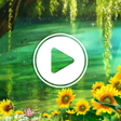 プログラムのアイコン：Video Live Wallpaper - HD…