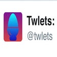 Icon of program: Twlets: Twitter to Excel