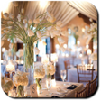 Ikon program: Wedding Decorations