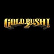Icono de programa: Gold Rush 2