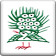Icon of program: 麻雀練習サポート