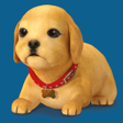 Icoon van programma: My Perfect Puppy