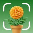 プログラムのアイコン：Plant Identification  Dis…