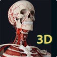 Programın simgesi: Human Anatomy 3D