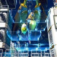 Biểu tượng của chương trình: Shiftlings