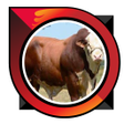 Icon of program: fattening beef cattle