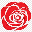 ไอคอนของโปรแกรม: Beautiful rose