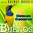 Icon of program: Spanish Morning Night Wis…
