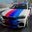 Icon of program: Simulator BMW X6 Sport Dr…