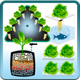 プログラムのアイコン：Hydroponic Tech - Técnica…