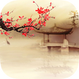 程序图标：Sakura Live Wallpaper
