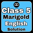 Class 5 English Solution MCQs