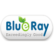 プログラムのアイコン：Blueray Books