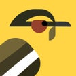 ไอคอนของโปรแกรม: Find the Birds