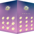 AppLock Theme Shooting Star