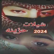 Icon of program: شيلات حزينة 2024 بدون نت