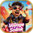 Иконка программы: Voyage Solink