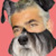 Programın simgesi: Yair Lapid Stop Barking
