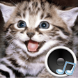 Ikona programu: Animal sounds. Learn and …