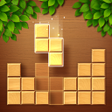 أيقونة البرنامج: Wood Puzzle Block