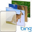 プログラムのアイコン：Best of Bing: Australia t…