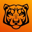 Ikon program: BlindTiger - Connecting C…