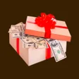 Ikon program: New Cash