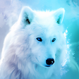 Icon of program: Ice Wolf Live Wallpaper H…