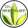 Herbalife Nutrition member