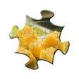 プログラムのアイコン：Jigsaw Puzzles