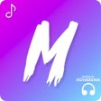 Music Player - Pro