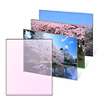 プログラムのアイコン：日本の桜テーマ
