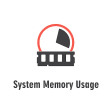 System Memory Usage