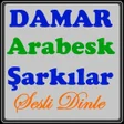 Icoon van programma: Damar Arabesk Şarkılar