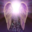 Icon of program: Angel Number Signs