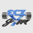 Icoon van programma: Ecz Gym