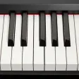 Play Organ